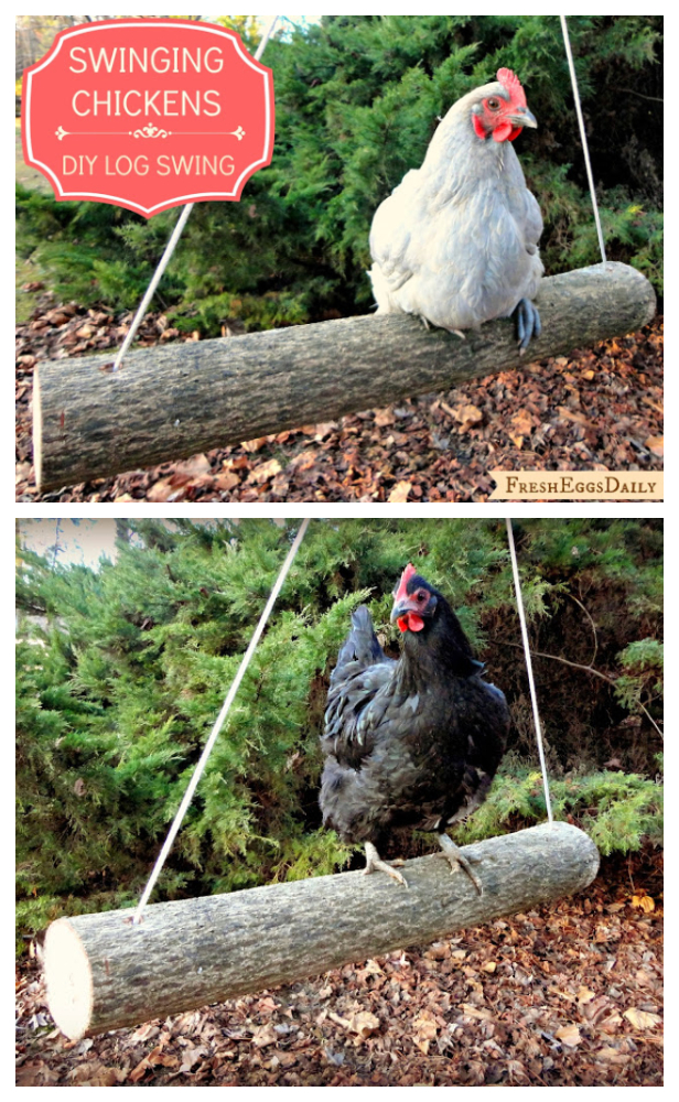 DIY Log Chicken Swing Tutorial