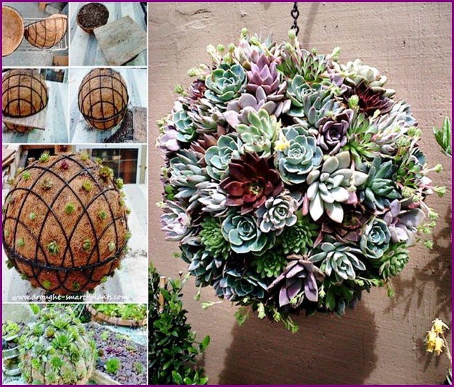 DIY Hanging Succulent Ball Sphere Tutorial 