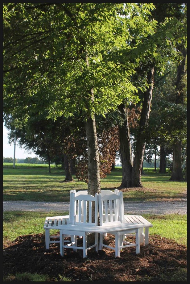 How to Build Recycled Chair Tree Bench 