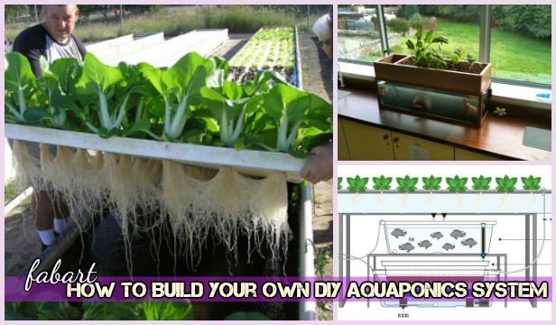 How to Build Your Own DIY Aquaponics System Tutorial-Video