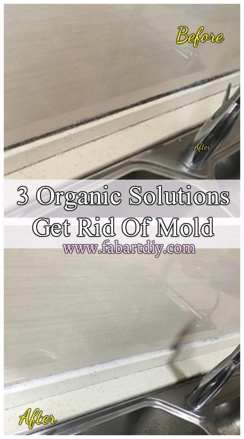 Cleaning Hack Simple Way to Get Rid Of Mold Around The House 