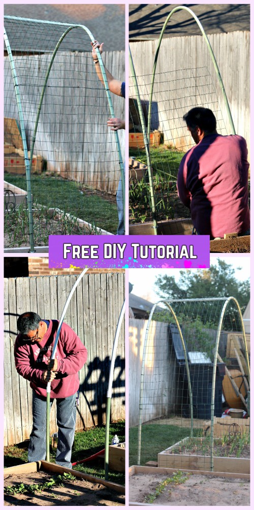 DIY PVC Cattle Panel Squash Arch Tutorial