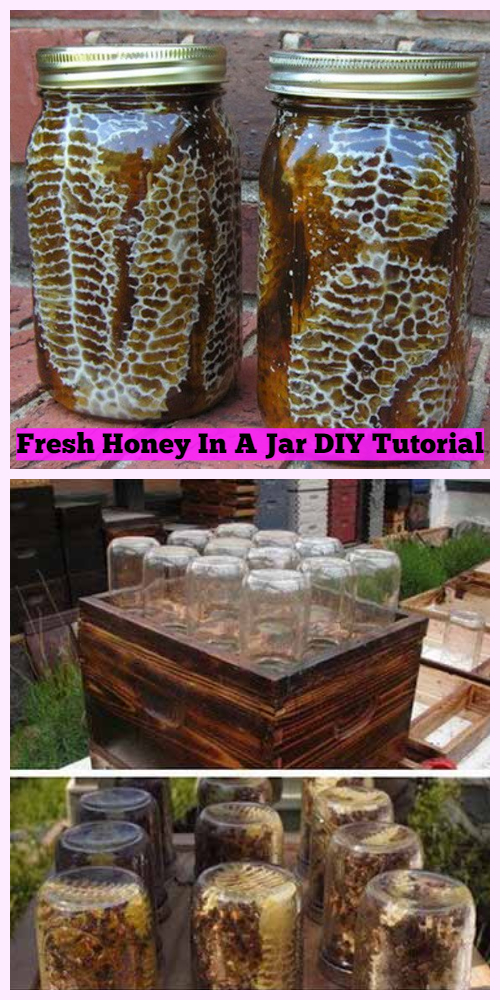 Easy DIY Beehive In A Jar Tutorial