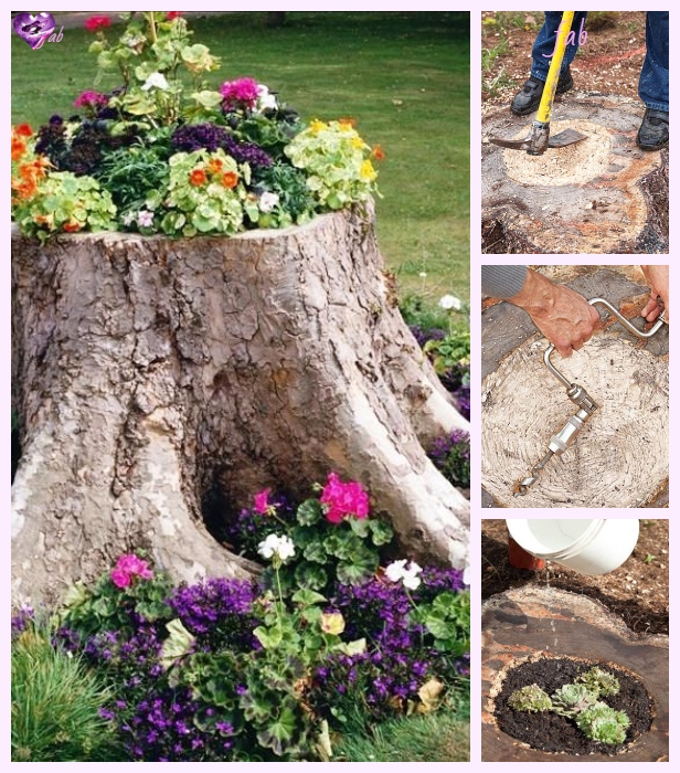  DIY Tree Stump Planters Tutorial