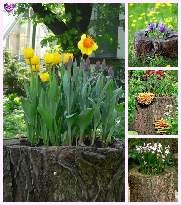 DIY Tree Stump Planters Tutorial