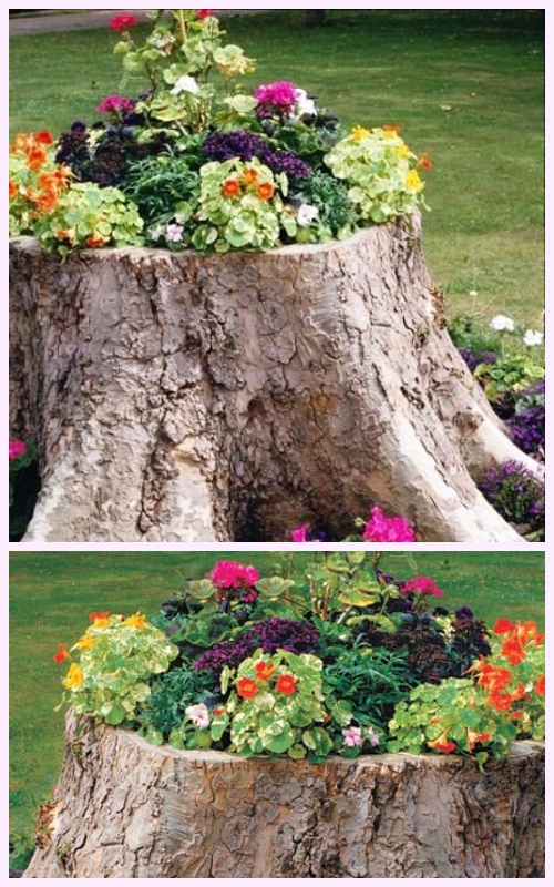 DIY Tree Stump Planters Tutorial