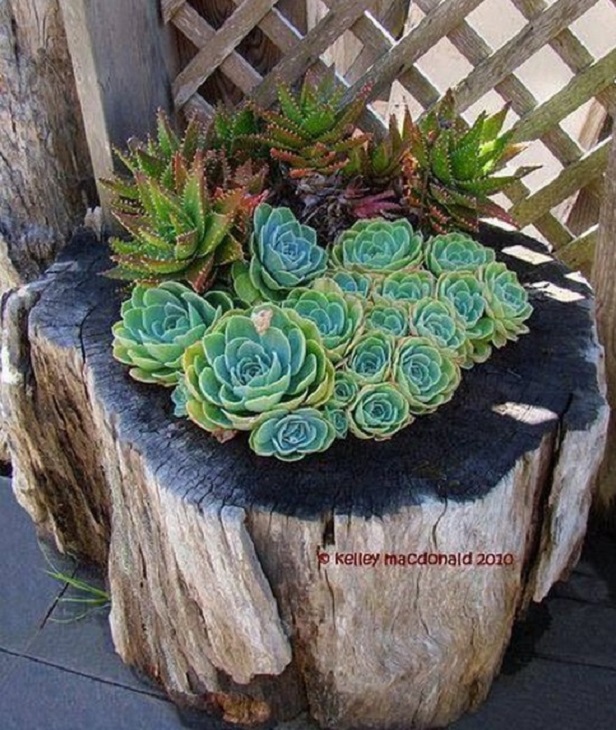  DIY Tree Stump Planters Tutorial