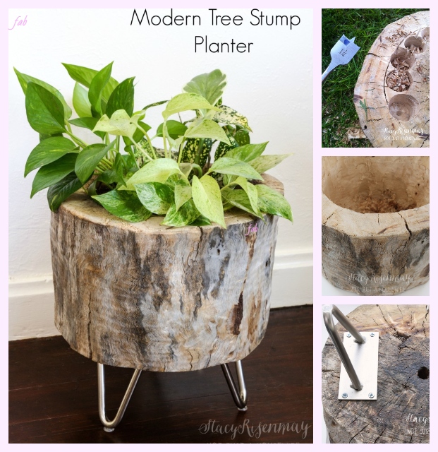  DIY Tree Stump Planters Tutorial