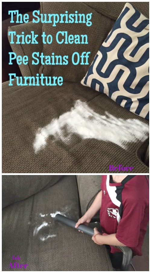 Tip on How to Clean Mattress Pee Stain - Video