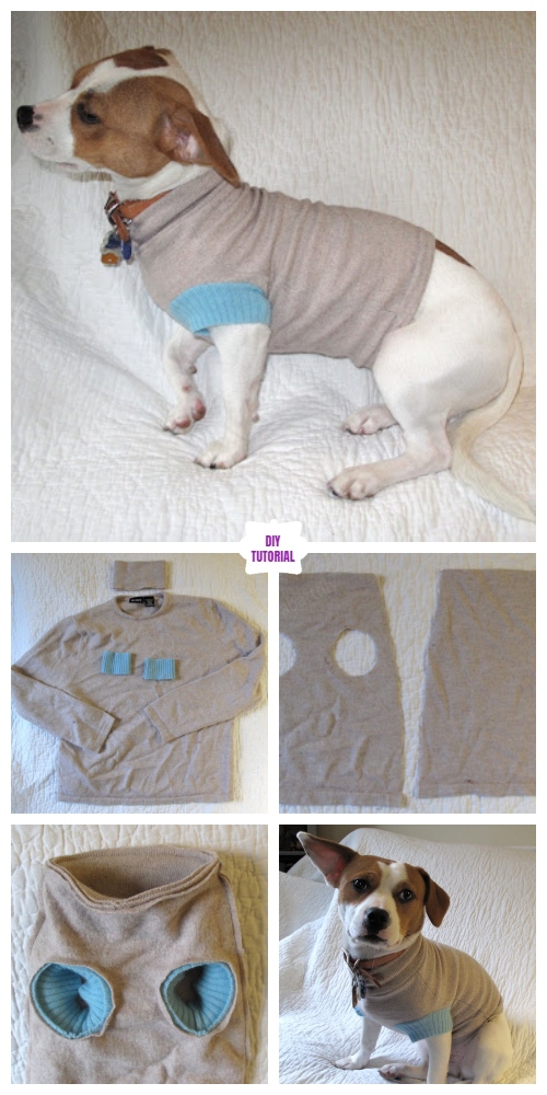 DIY Recycled Sweater Pet Coat Free Sew Patterns & Tutorials