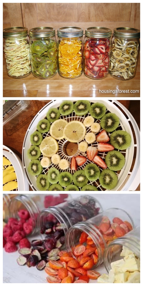 DIY Healthy Dehydrated Fruit Tutorial