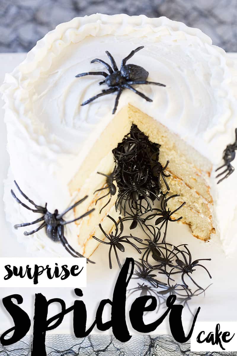 DIY Halloween Spider Surprise Cake Recipes + Tutorial