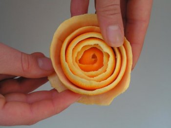 DIY Orange Peel Rose Tutorial