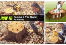 Easiest Way to Remove a Tree Stump Yourself Painlessly + Video Easiest Way to Remove a Tree Stump Yourself Painlessly + Video