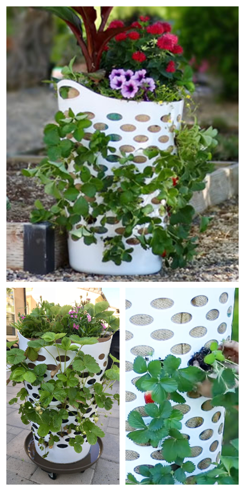 Vertical Laundry Basket Strawberry Planter DIY Tutorial + Video