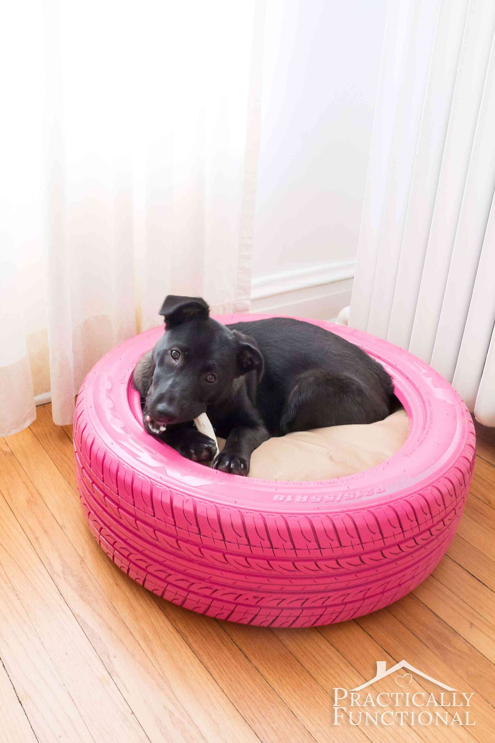 How to DIY Comfy Pet Bed with Tire + Video