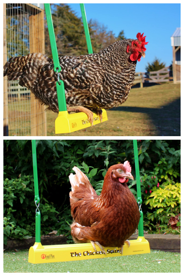 Fowl Play Chicken Swing to Entertain Your Chickens