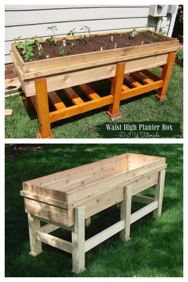 Waist High Wood Planter Box DIY Tutorial