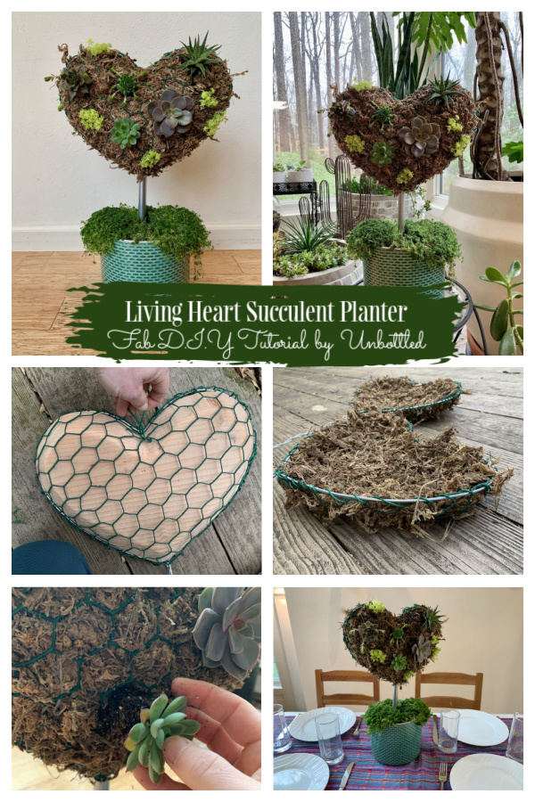 Living Heart Succulent Planter DIY Tutorial for Valentine