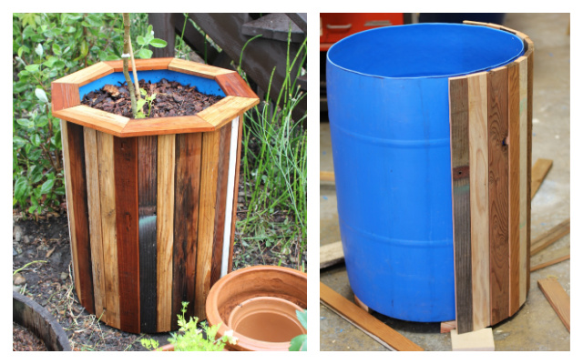 Hướng dẫn tự làm chậu trồng trống 55 gallonHướng dẫn tự làm chậu trồng trống 55 gallon  