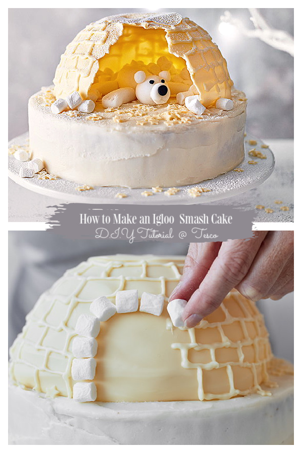 How to make an igloo Smash Cake DIY Recipes and Tutorials How to make an igloo Smash Cake DIY Recipes and Tutorials