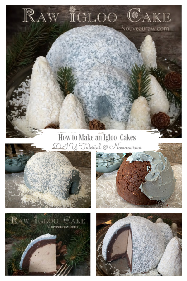 Igloo Cake with Peanut Butter Ice Cream Center DIY Recipes and Tutorials Igloo Cake with Peanut Butter Ice Cream Center DIY Recipes and Tutorials